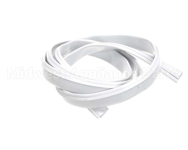 608030321 Ifi America Tonda Gasket