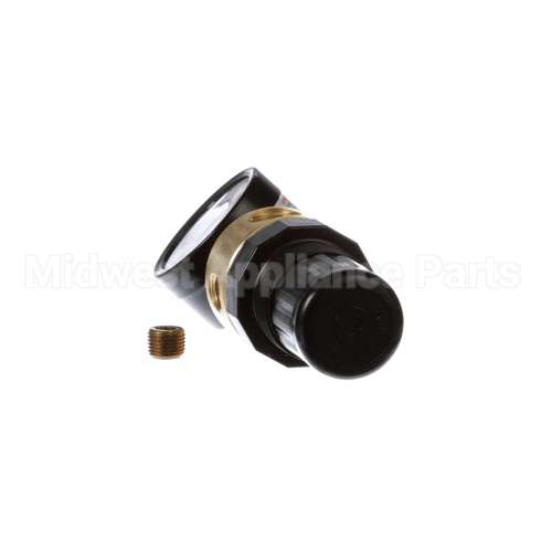 70610 Saniserv Regulator