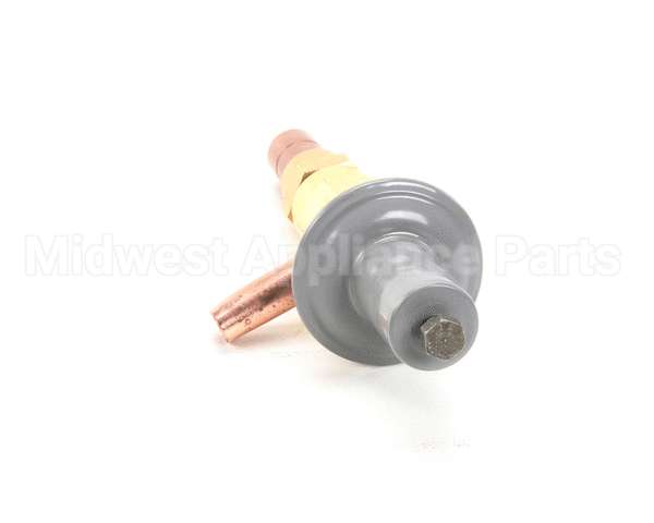 71042 Saniserv Valve Auto Expansion