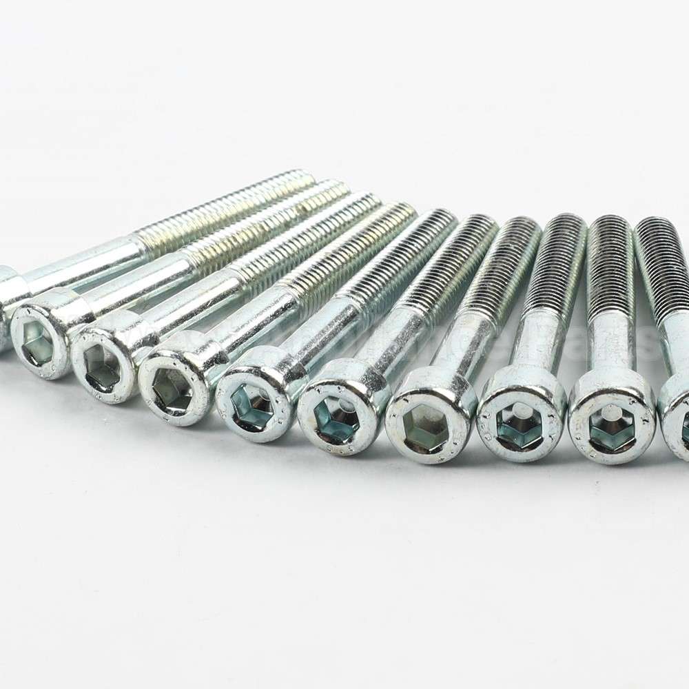 819646P Fisher Paykel Screw M5X40 Cap (Pkt 10)