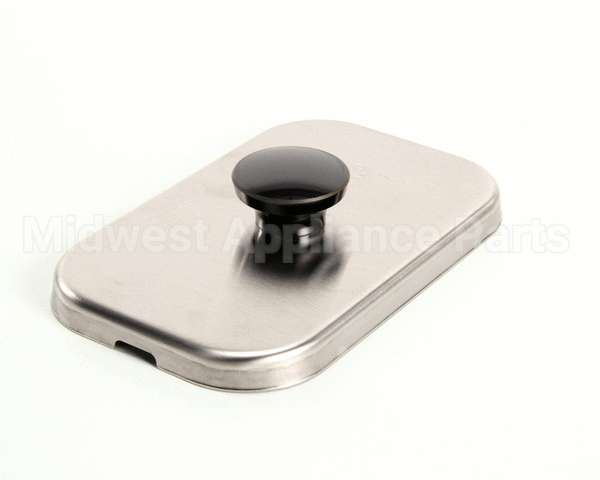 82559 Server Lid Assembly