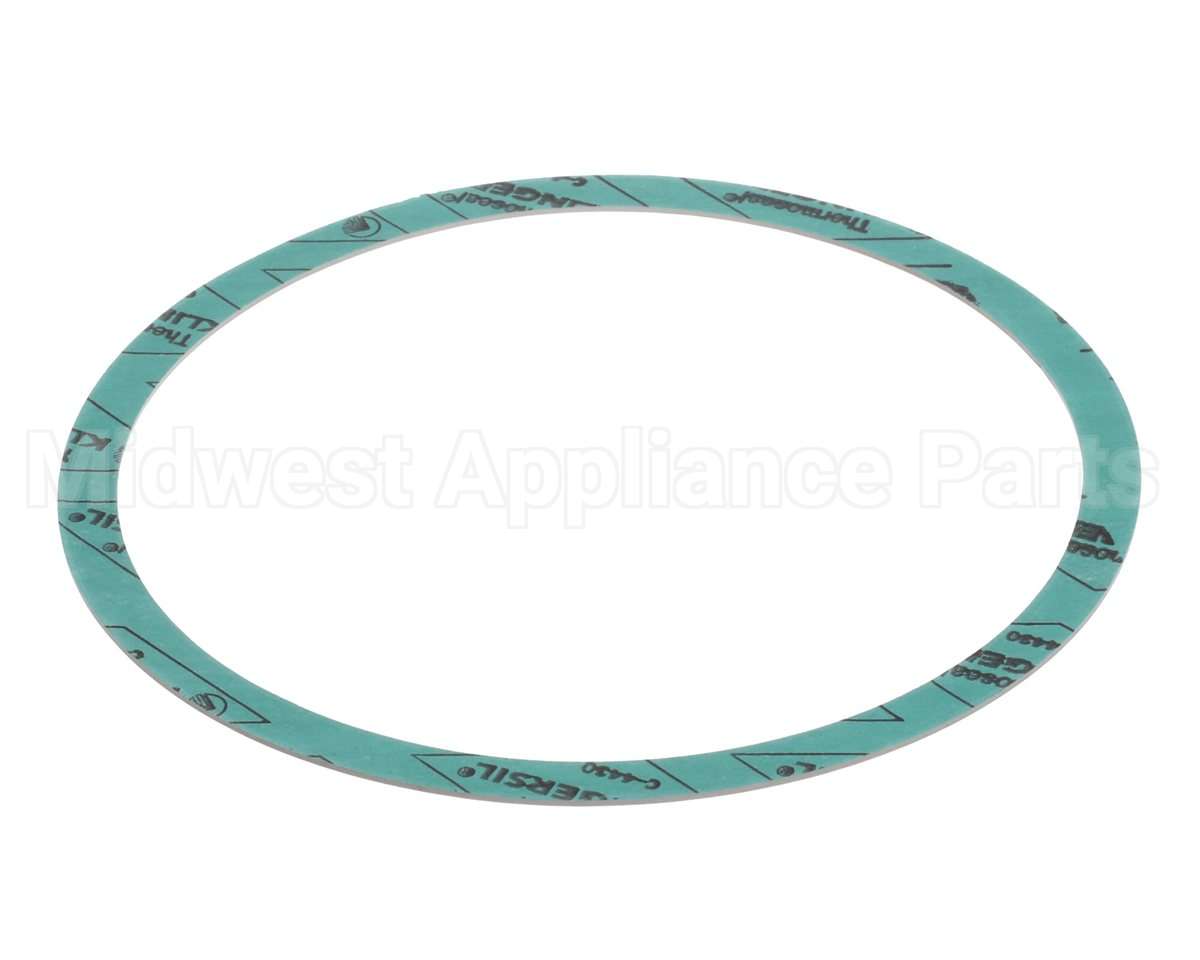 8426401-002 Armstrong 6" Casinig Gasket