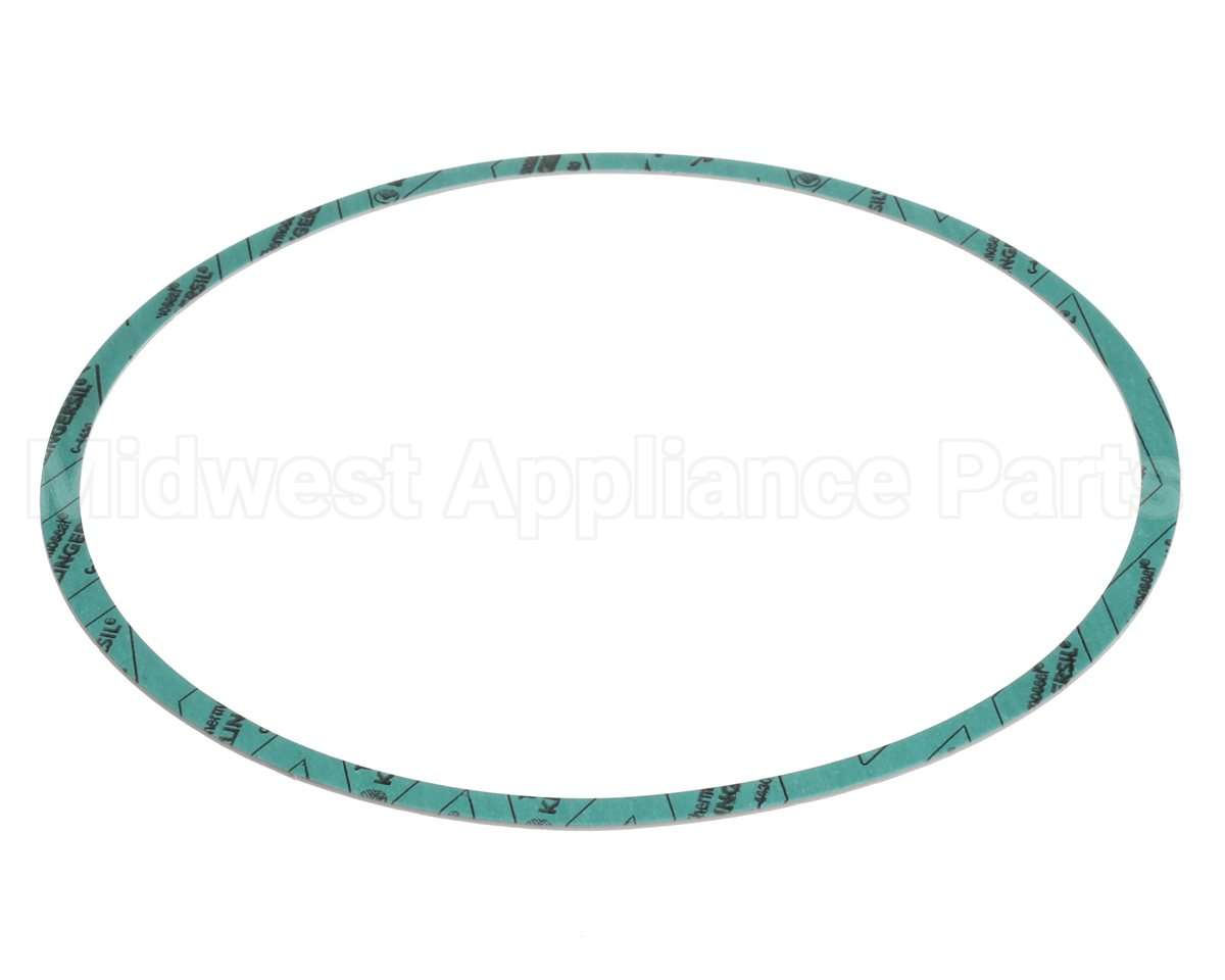 8426401-004 Armstrong Fluid Technology Gasket-Casing 10"