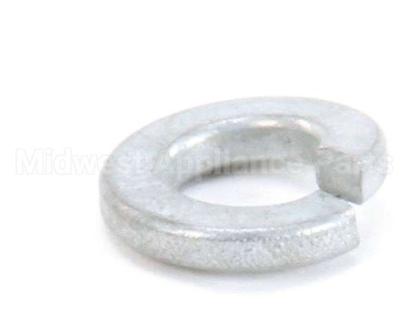 870020 Globe Lockwasher