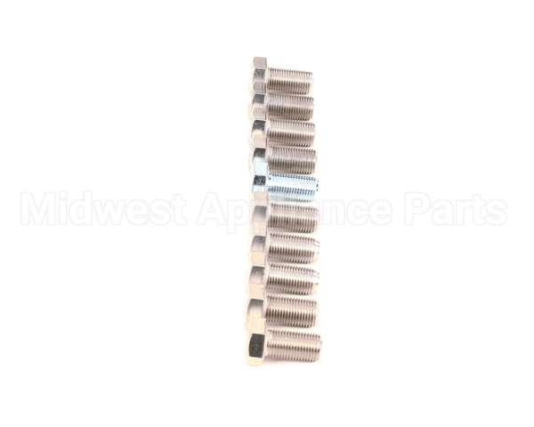 9031001-01P Ice O Matic Y 10Pk Screw Hex Hd