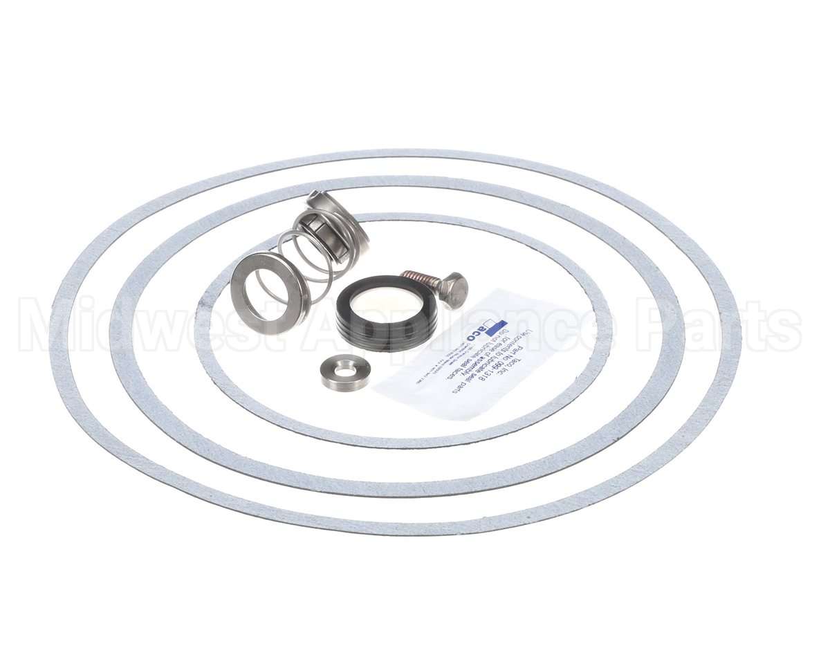 950388F Raypak Seal Kit W/Gaskets