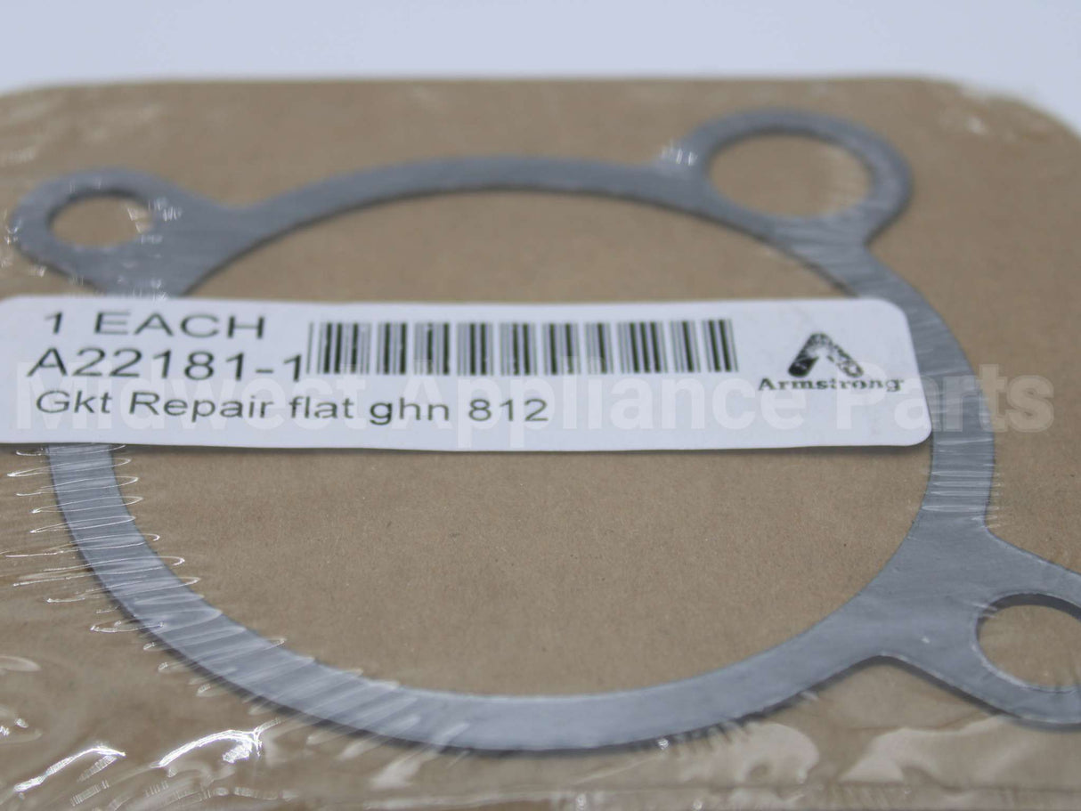A22181-1 Armstrong International Gasket F/812,882