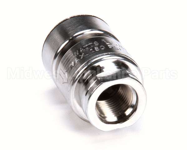 BL-5550-09 T&S Brass Vacuum Breaker, Anti-Siphon, 3/8 Npt Mal