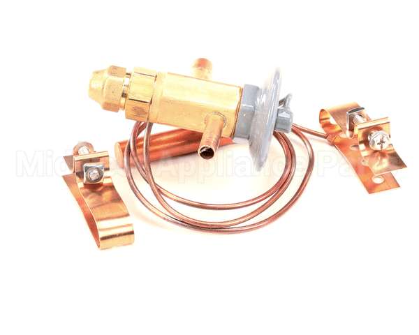 50794906 Victory Valve Expansion Efj-1/4-C 2Sx3 Odf 3