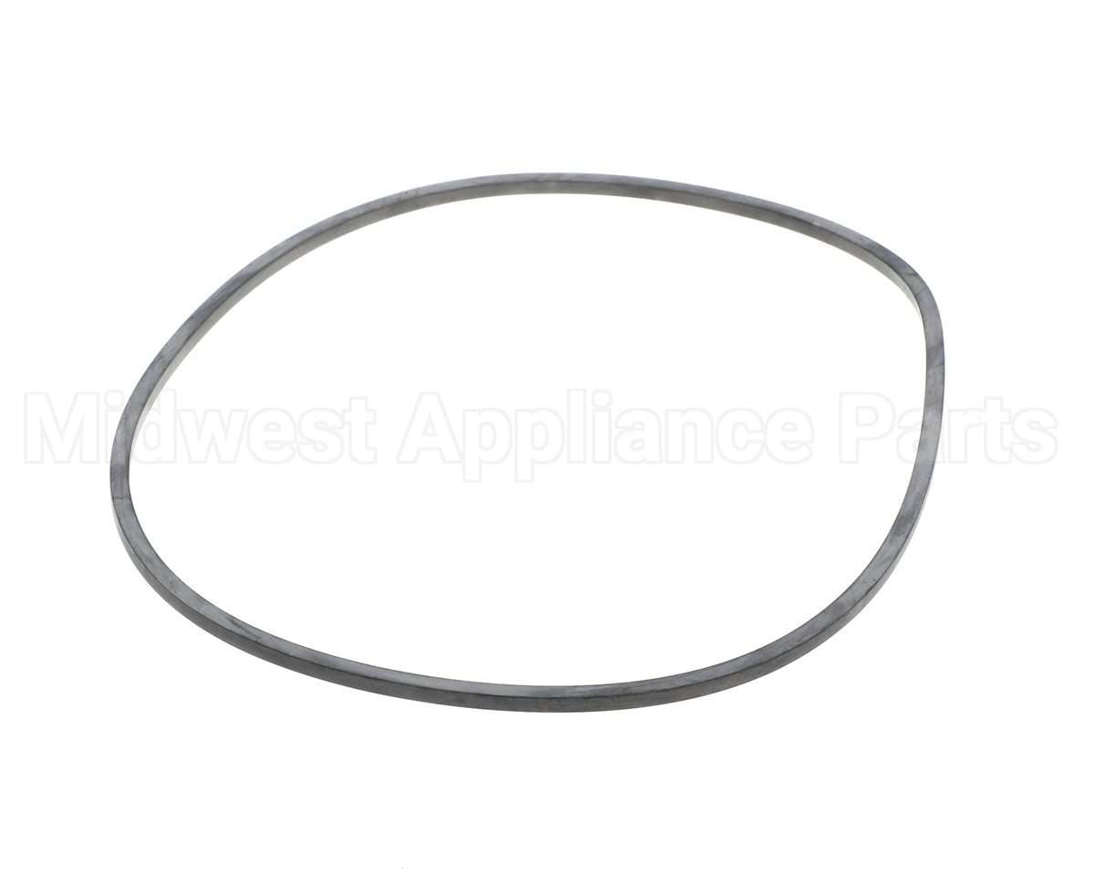 EV094400 Everpure Gasket Sq. Cut T-9/20