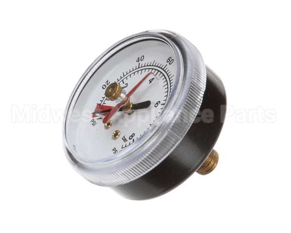 EV306818 Everpure Back Mnt Brass Gauge 0-125 Psi