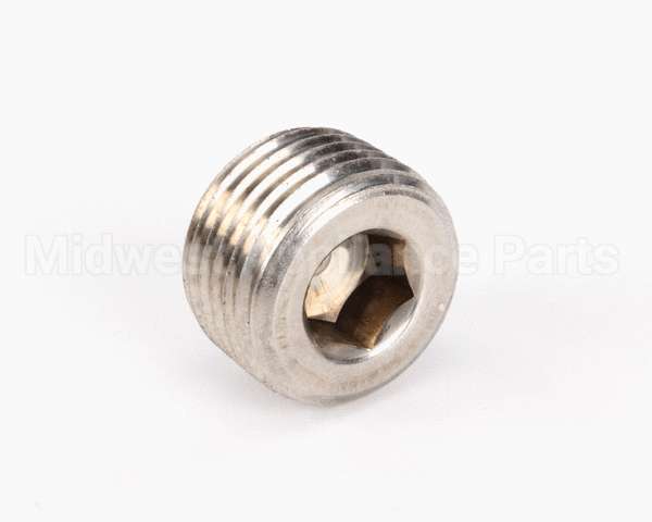 FP01-004 Henny Penny Plug Pipe 1/2 Hex Soc Ss