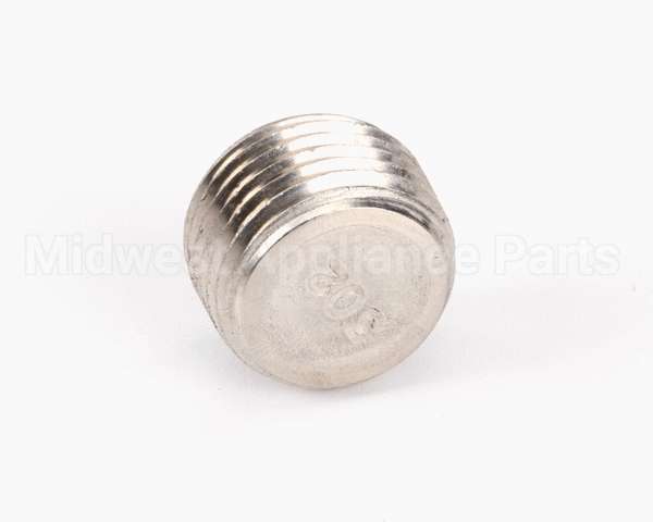 FP01-004 Henny Penny Plug Pipe 1/2 Hex Soc Ss