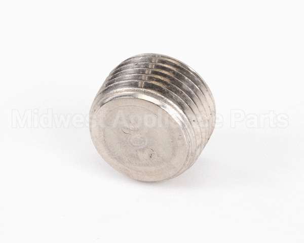 FP01-004 Henny Penny Plug Pipe 1/2 Hex Soc Ss