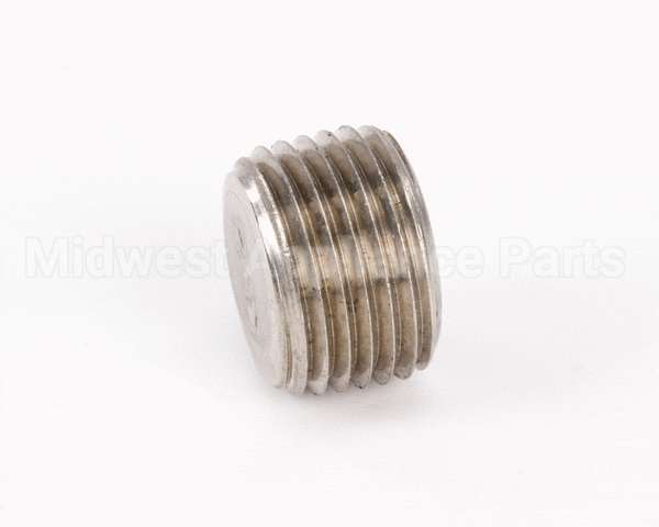 FP01-004 Henny Penny Plug Pipe 1/2 Hex Soc Ss