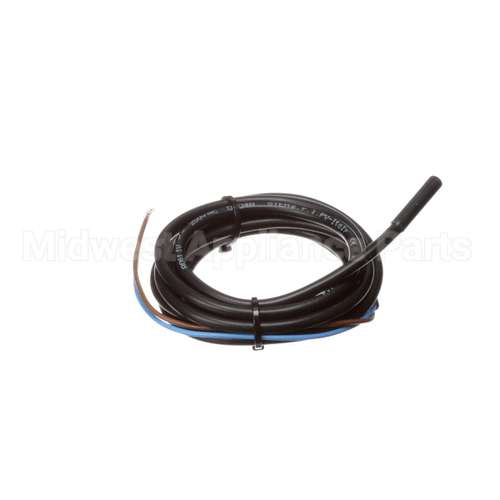 IC572910146 Carpigiani Switch-Dry Reed Stem A061 1V V