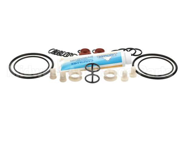 ICA5555750 Carpigiani Tune Up Kit Minor Uc1131P