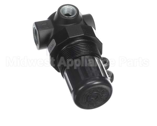 JT-R07200RNAA Joe Tap Regulator, 1/4" Npt, 1-10 Psi