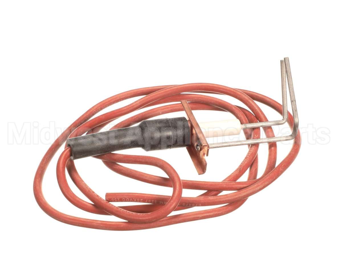 LH33WZ010 Bryant Payne Ignitor