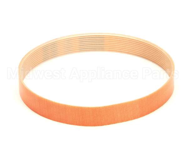 MS51 Globe Drive Belt