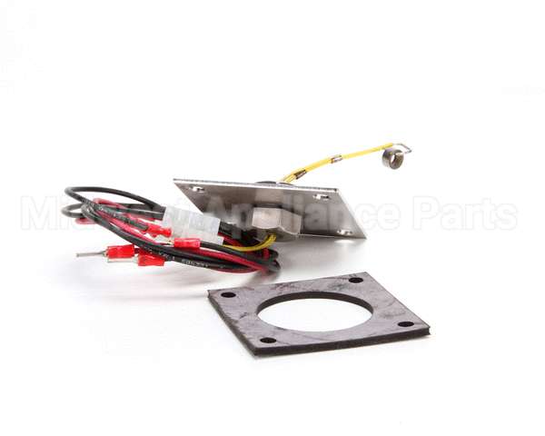 R3141 Blodgett Level Probe Assembly, Short