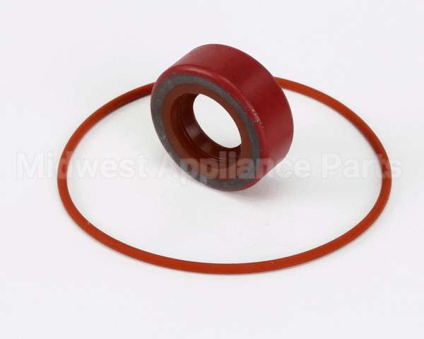 RK0004 Bki Repair Kit, Haight Pump