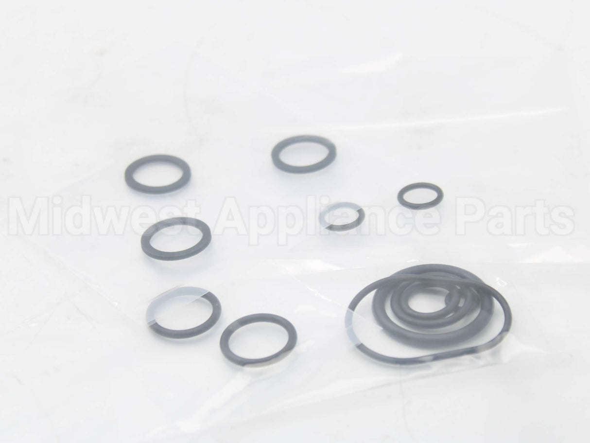 RTG20206 Rheem-Ruud Oring Kit Palona