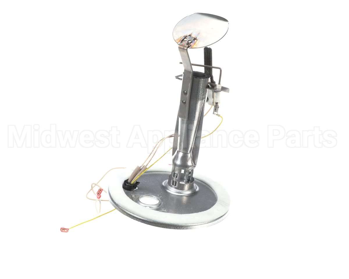 S1-373-19801-403 York Burner Assembly