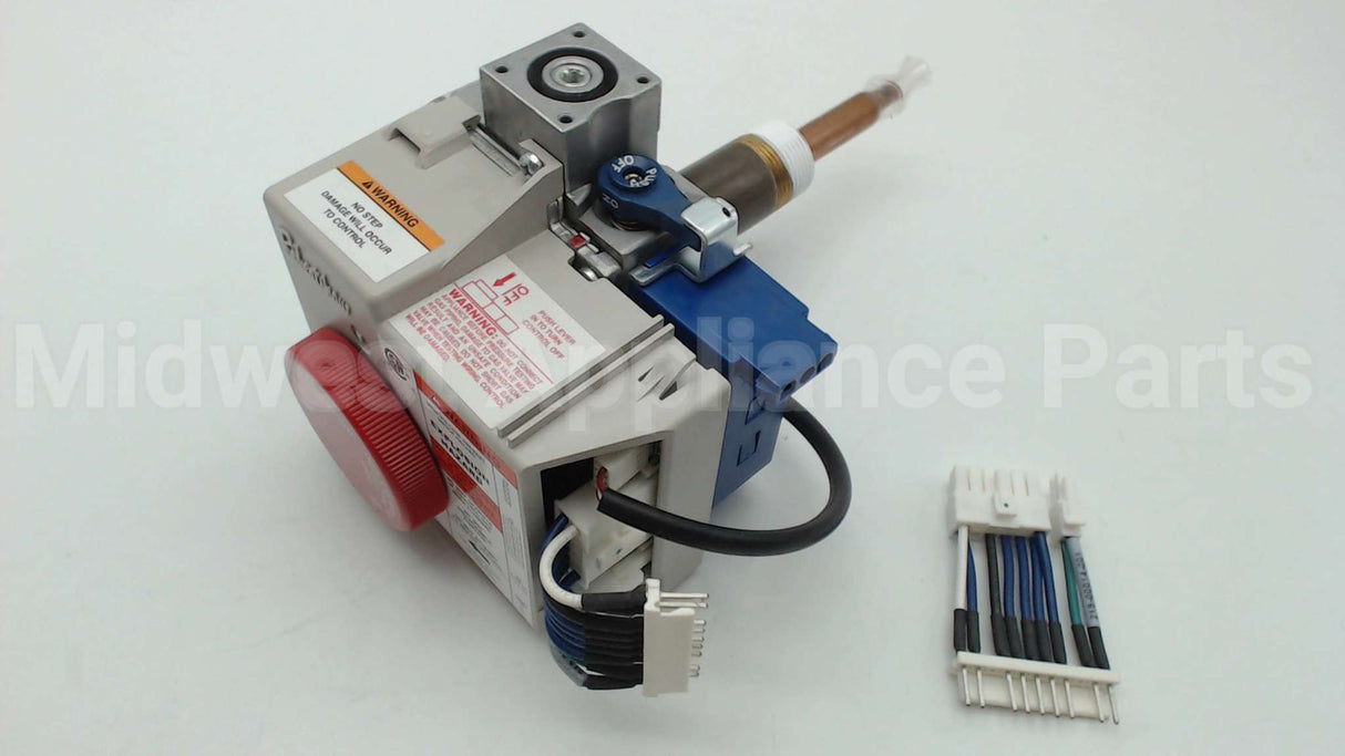 SP20161A Rheem-Ruud Ng Comb Valve Replacement Kit