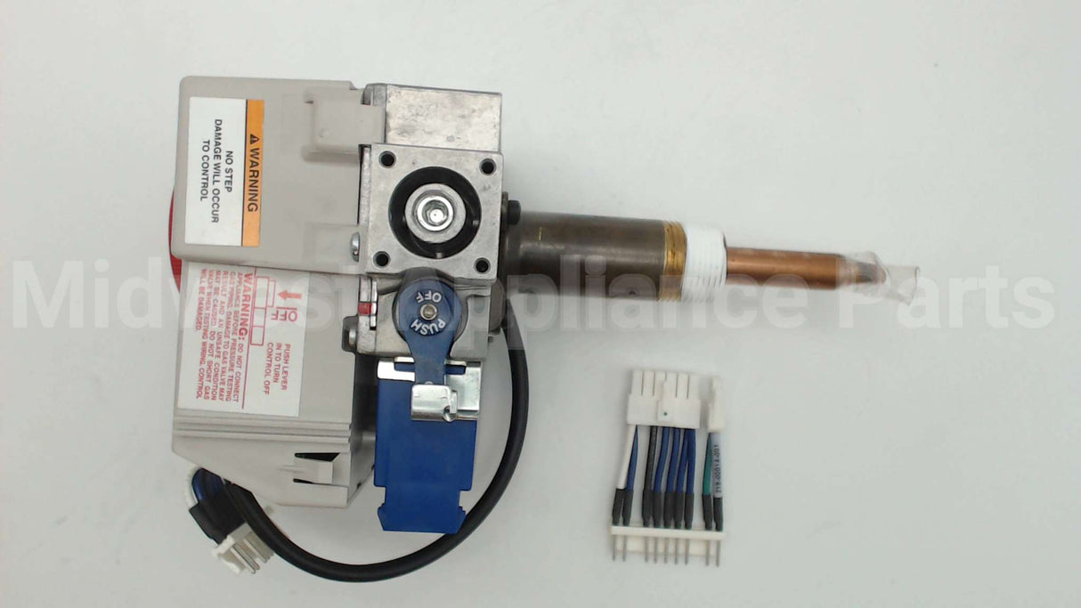 SP20161A Rheem-Ruud Ng Comb Valve Replacement Kit