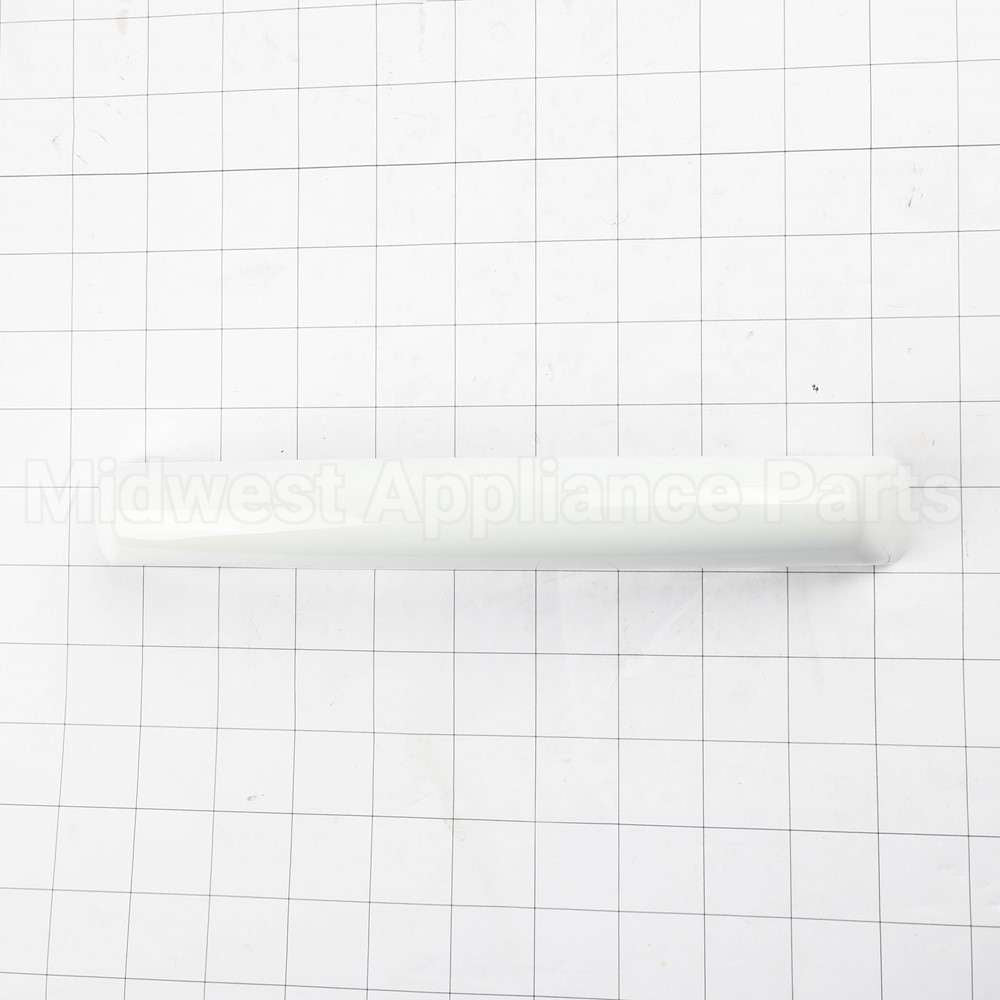 W10259244 Whirlpool Hndle-Door