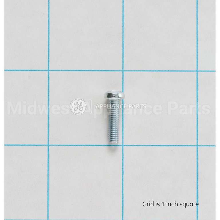 WB01K10046 GE Scr M4X.07 Trp S