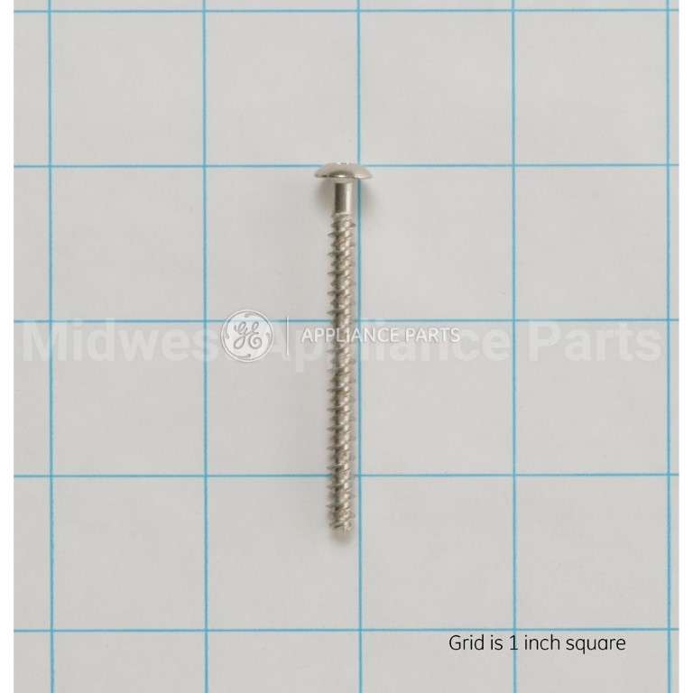 WB01T10067 GE Scr 10-16 Pl Pnt 2.5 S