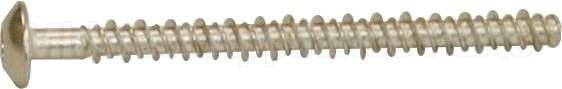 WB01T10067 GE Scr 10-16 Pl Pnt 2.5 S