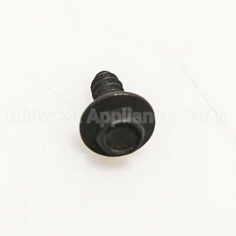 WB01T10103 GE Scr 10-16 Ab Hxw .532