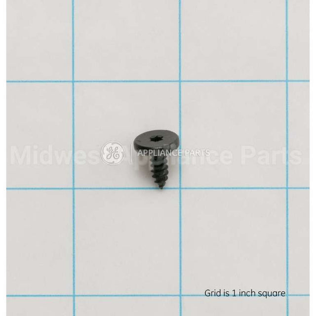 WB01T10110 GE Scr 8-18X.450 Ab Flt20 S