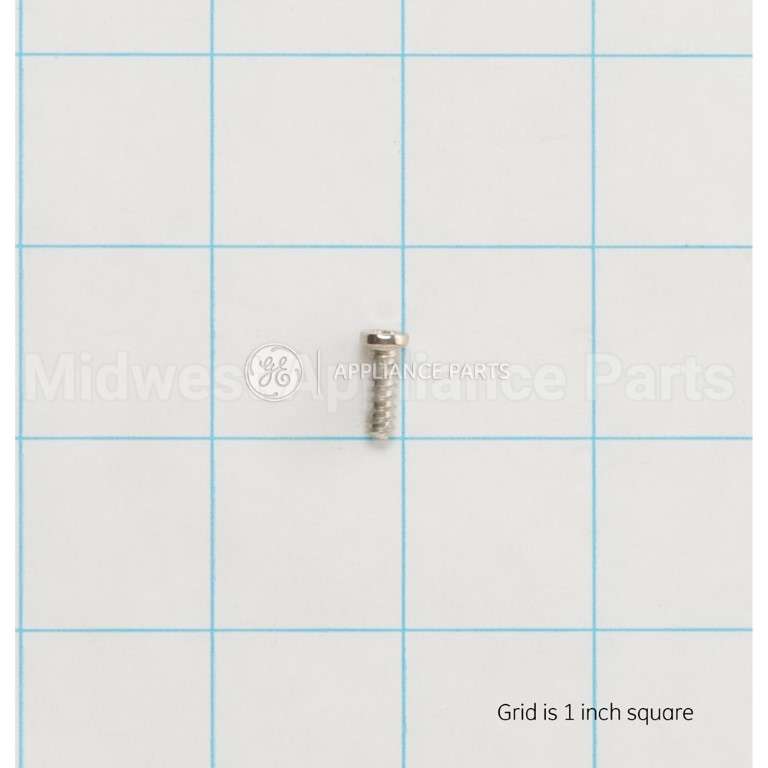 WB01T10115 GE Scr 8-18 Ab Hw 1/2 S