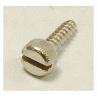 WB1K5 GE Screw 8-18 X 1/2