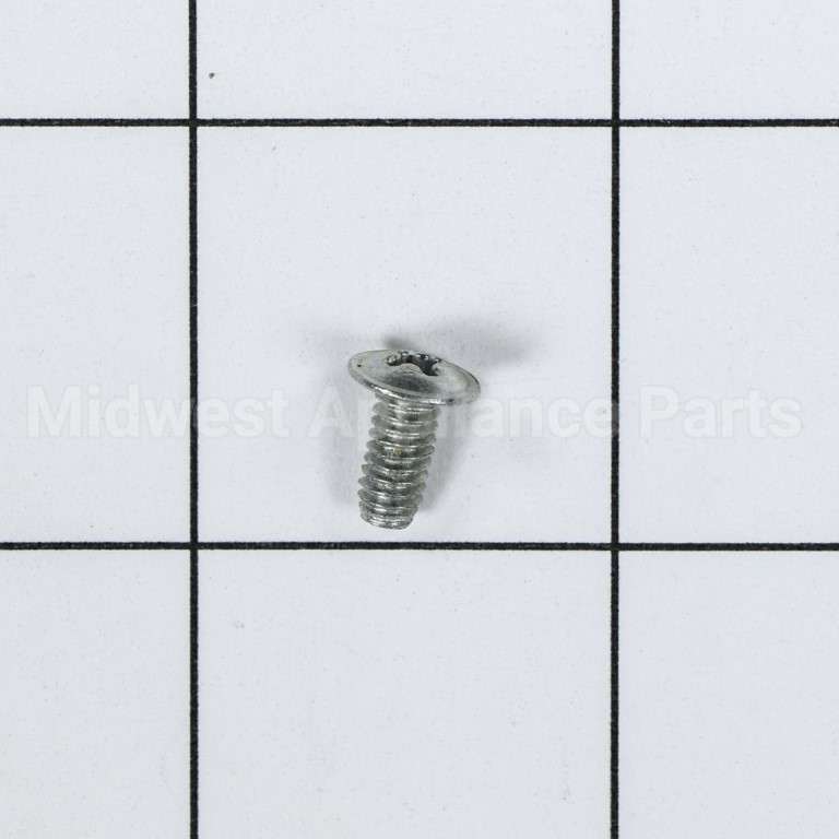 WB1K5119 GE Screw