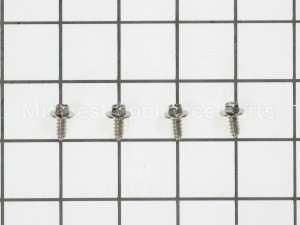 WB1M1 GE Screw