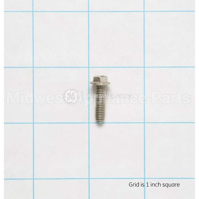 WB1X1116 GE Screw