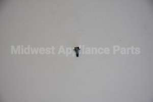 WB1X536 GE Screw