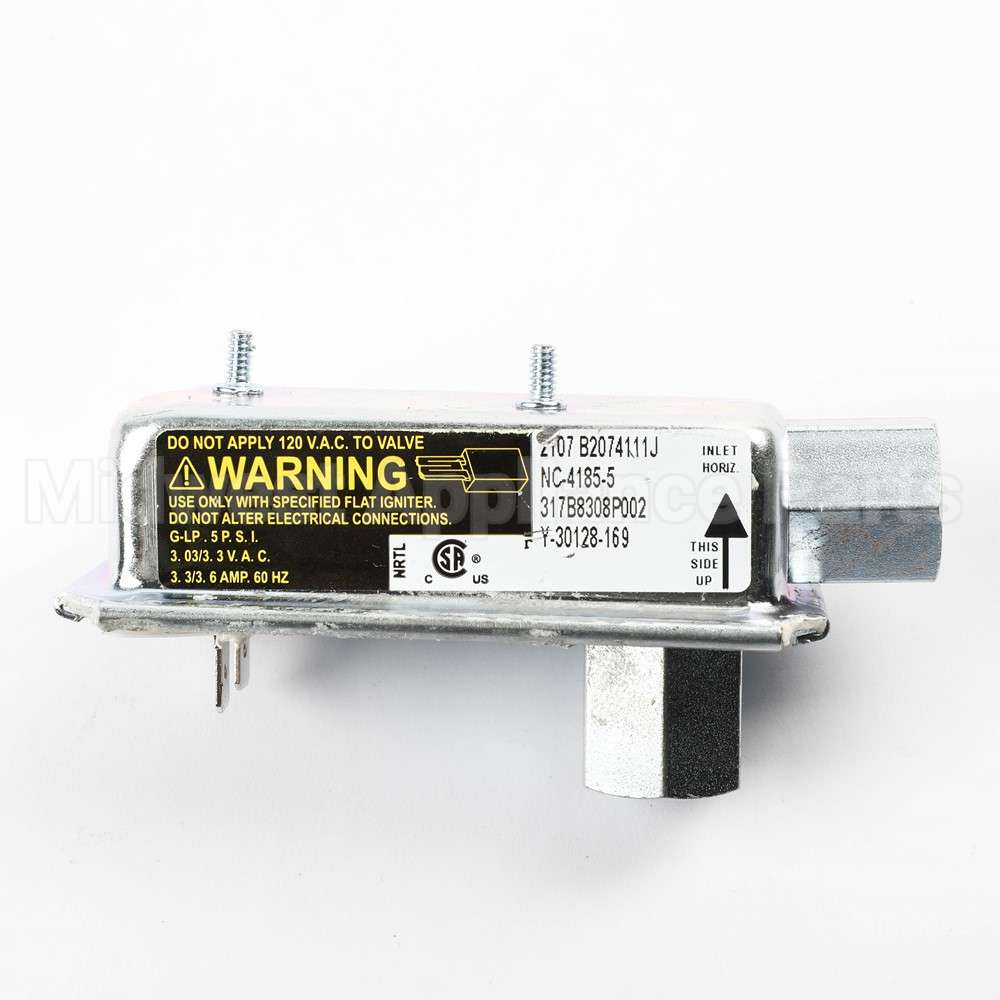 WB21X20475 GE Safety Valve Single