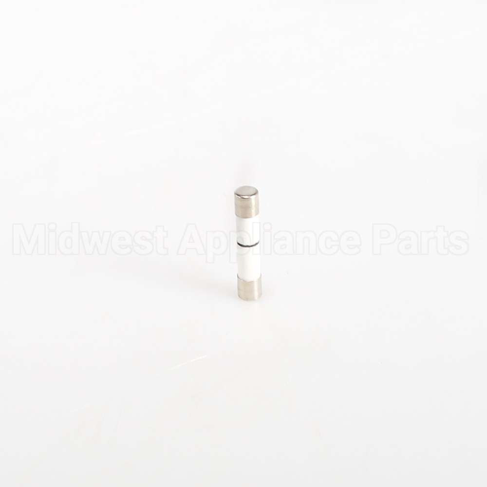 WB27X10928 GE Fuse