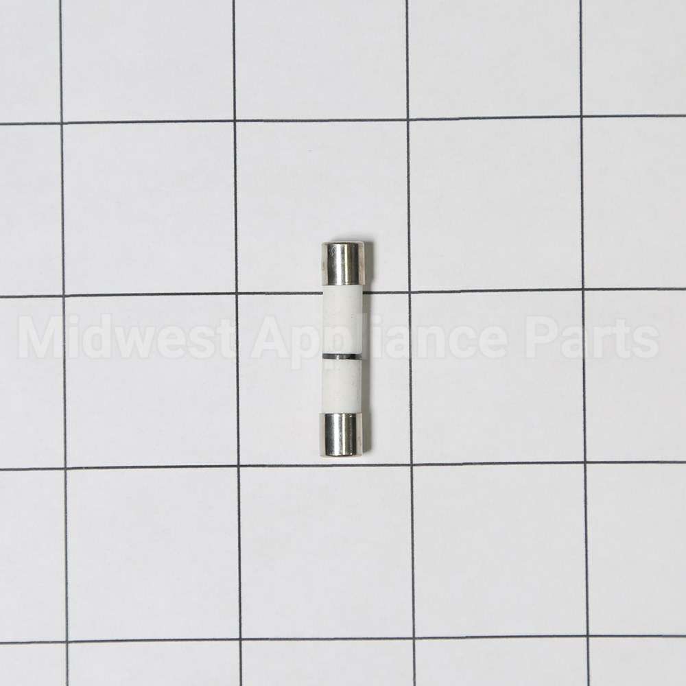 WB27X11099 GE Fuse