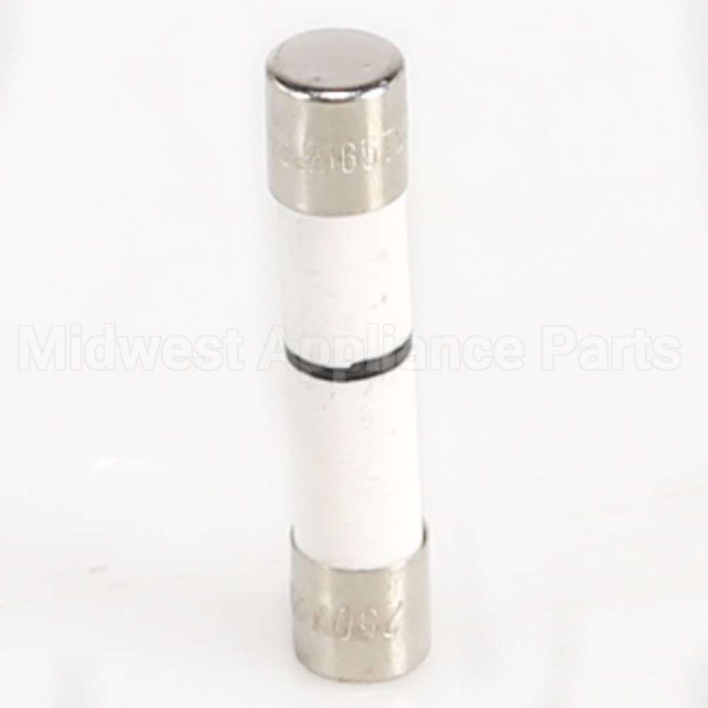 WB27X11099 GE Fuse