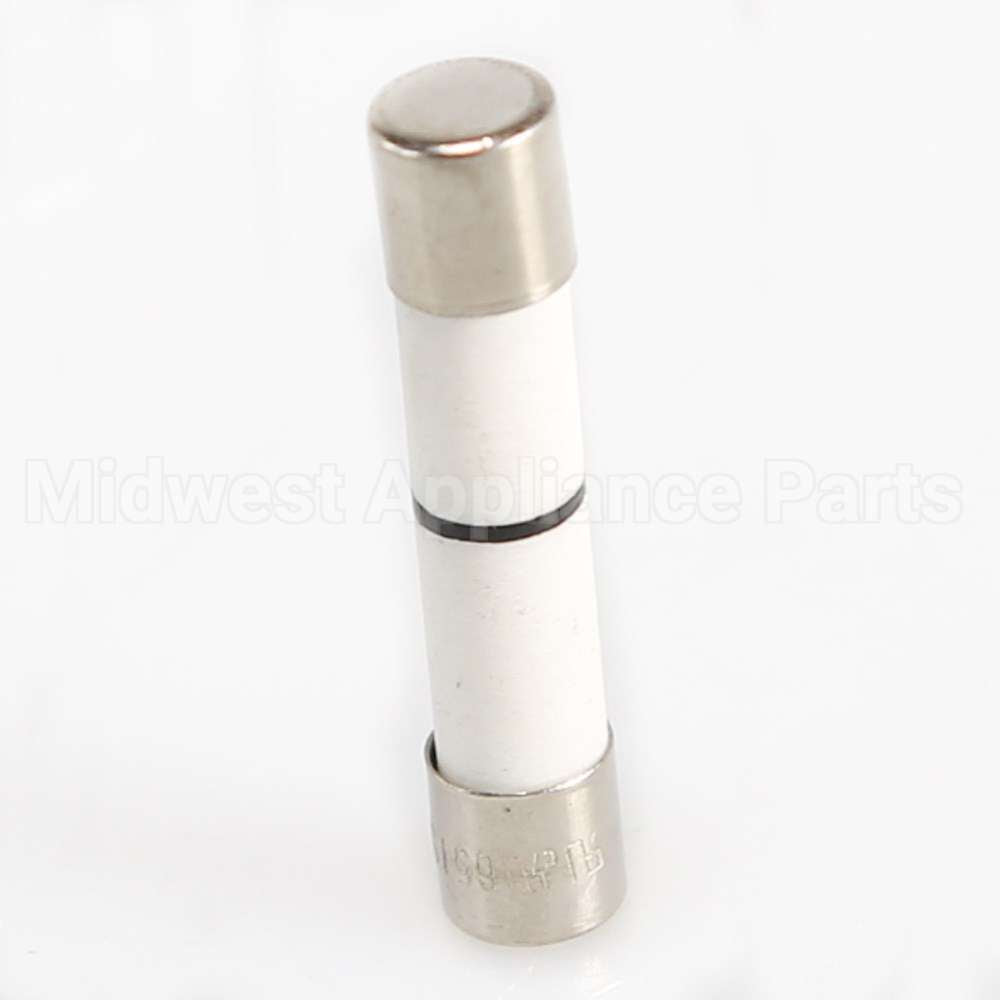 WB27X25389 GE Fuse