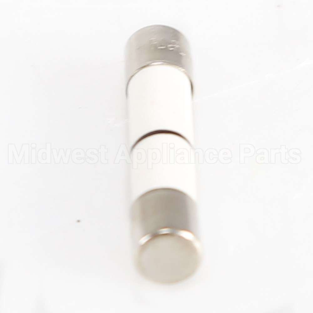 WB27X25389 GE Fuse