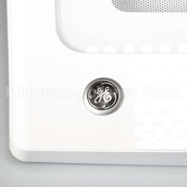 WB56X24440 GE Door Asm