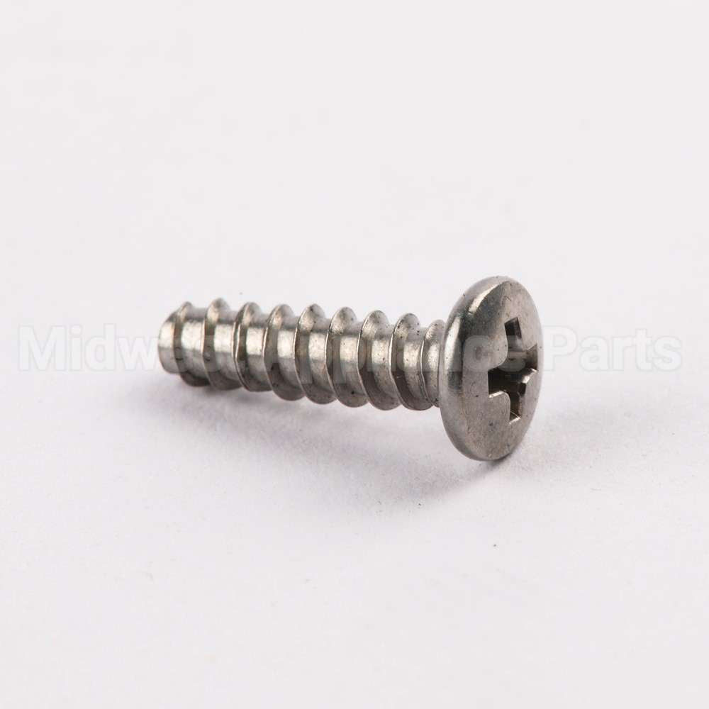 WE02X10060 GE Screw